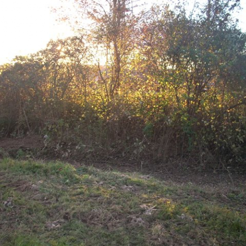 Interventi a Pavia n. 4 / 32576