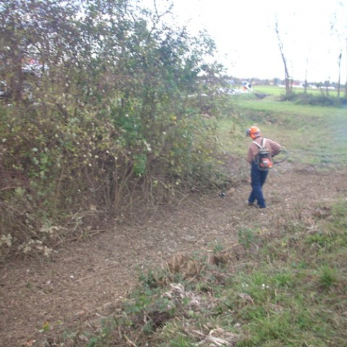 Interventi a Pavia n. 5 / 32577