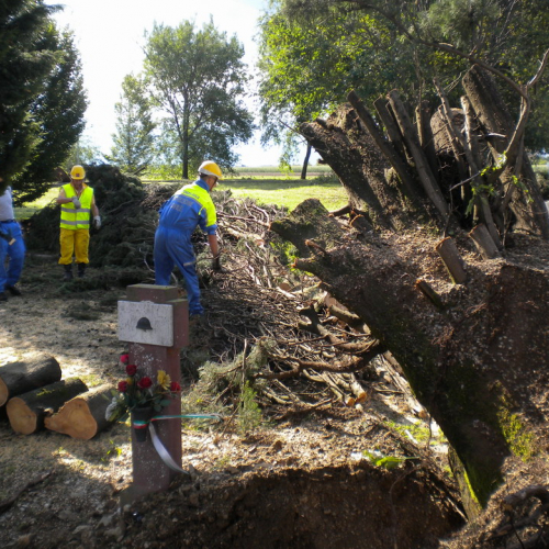 Interventi maltempo 23/07 n. 9 / 54617