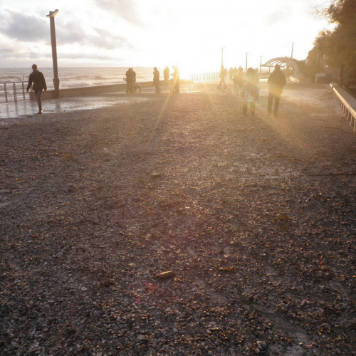 Intervento emergenza acqua alta n. 19 / 87647