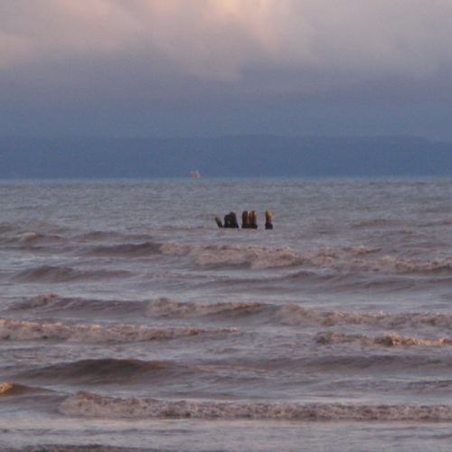 Intervento emergenza acqua alta n. 22 / 87650