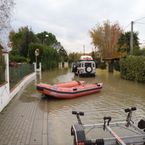 Immagin del 3 novembre n. 4 / 58257