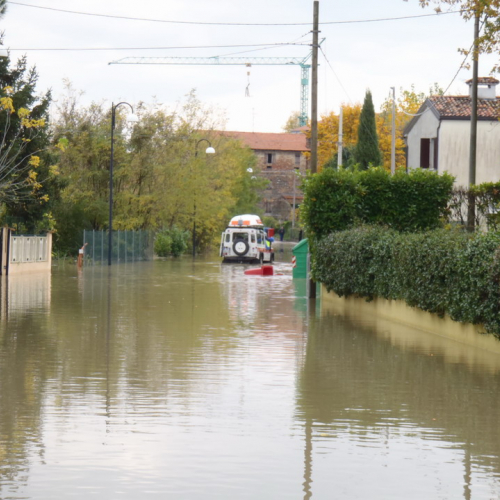 Immagin del 3 novembre n. 5 / 58258