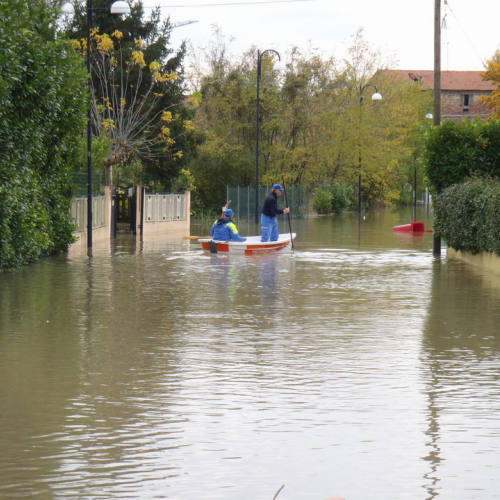 Immagin del 3 novembre n. 6 / 58259