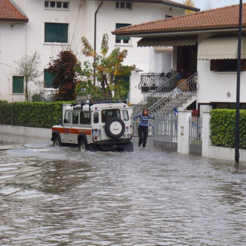 Immagin del 3 novembre n. 7 / 58260