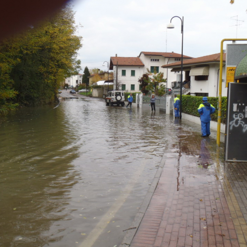 Immagin del 3 novembre n. 8 / 58261