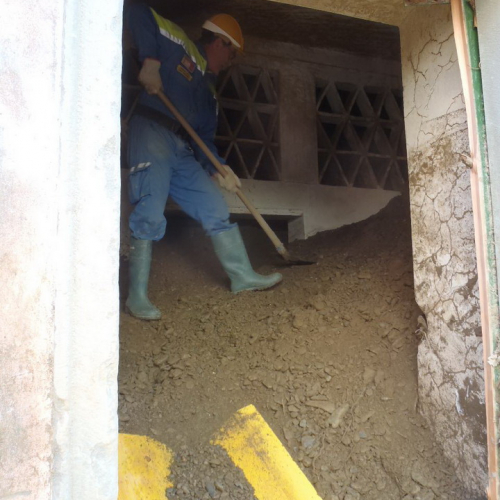 Volontari impegnati a Vernazza n. 4 / 72260