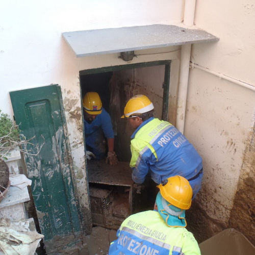 Volontari impegnati a Vernazza n. 13 / 72269