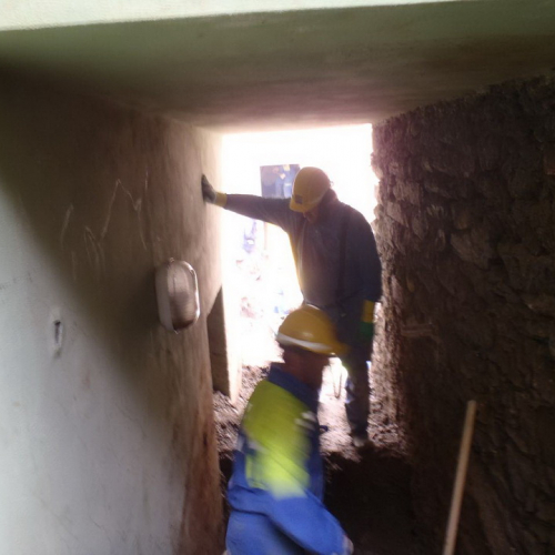 Volontari impegnati a Vernazza n. 15 / 72271