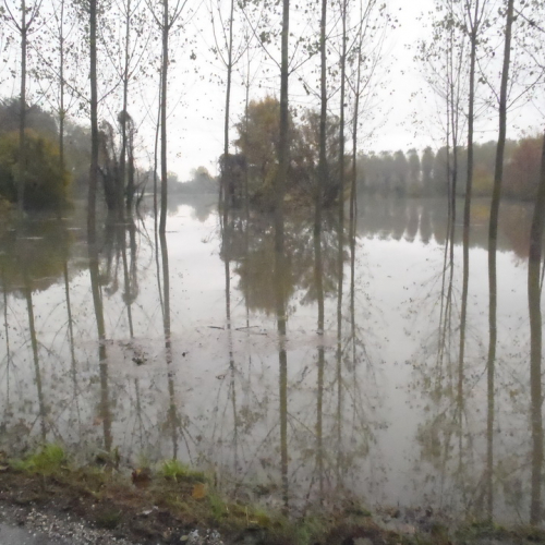 Eventi atmosferici 11-12 novembre n.A- 1 / 88219