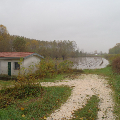 Eventi atmosferici 11-12 novembre n. 20 / 88022