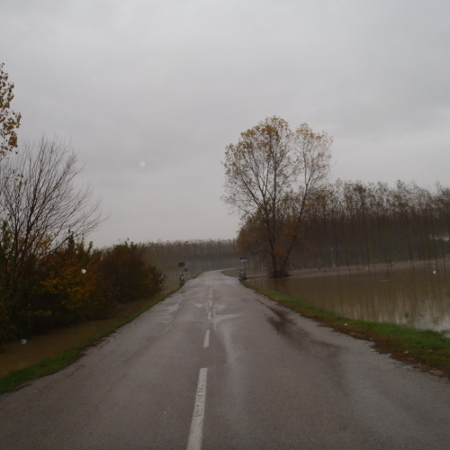 Eventi atmosferici 11-12 novembre n. 23 / 88025