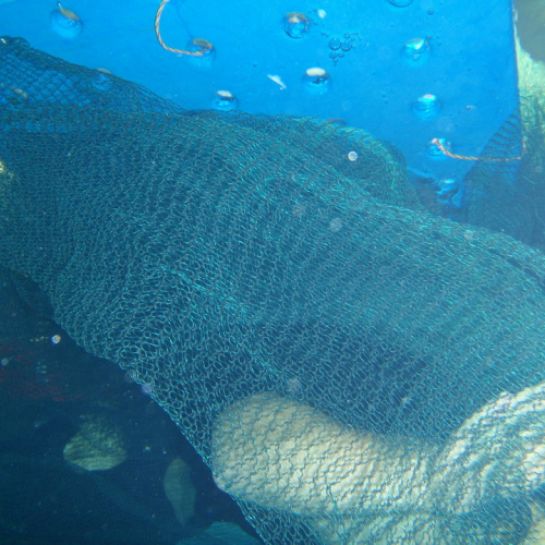 Corso acquaticit‡ n. 13 / 37090