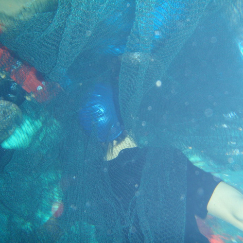 Corso acquaticit‡ n. 15 / 37092