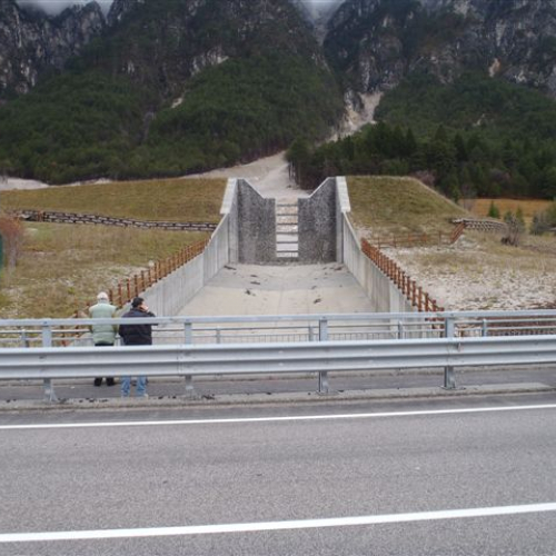 Collaudo (CD/3339/044B) n. 5 / 58557