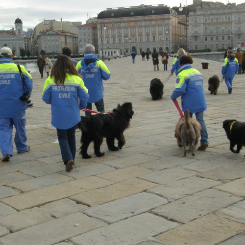 Natale Subacqueo di Trieste n. 10 / 74666