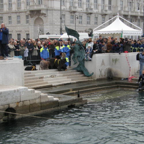 Natale Subacqueo di Trieste n. 26 / 74682