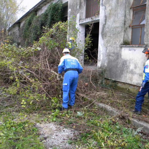 Addestramento a Perteole del 10/11/12 n. 3 / 88111