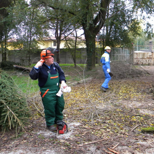 Addestramento a Perteole del 10/11/12 n. 7 / 88115