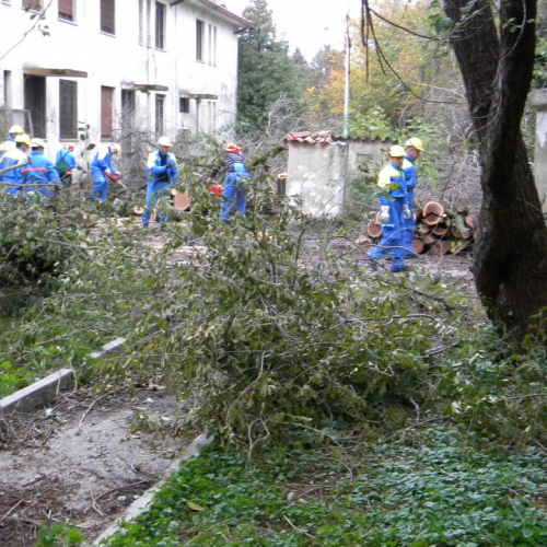 Addestramento a Perteole del 10/11/12 n. 8 / 88116