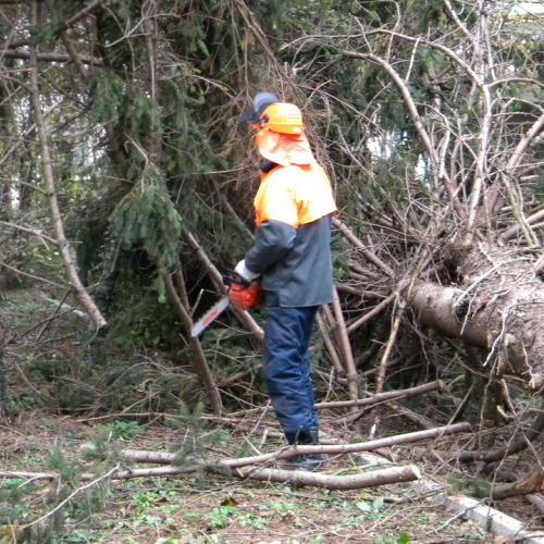 Addestramento a Perteole del 10/11/12 n. 10 / 88118