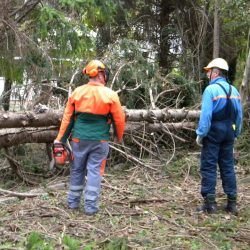 Addestramento a Perteole del 10/11/12 n. 13 / 88121