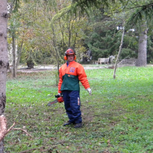 Addestramento a Perteole del 10/11/12 n. 15 / 88123