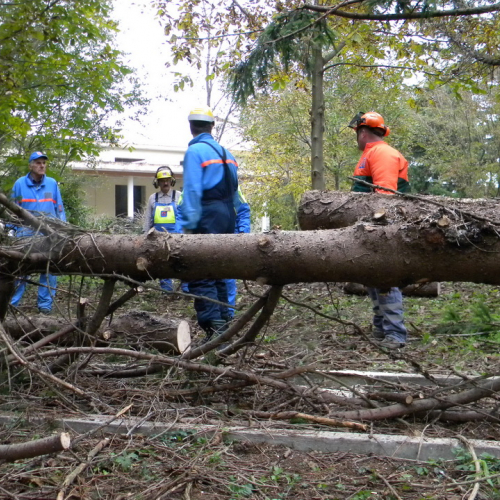 Addestramento a Perteole del 10/11/12 n. 16 / 88124