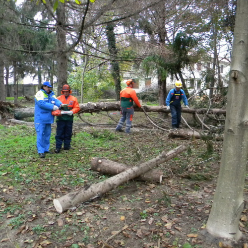 Addestramento a Perteole del 10/11/12 n. 17 / 88125