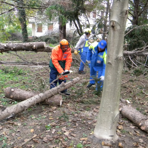 Addestramento a Perteole del 10/11/12 n. 18 / 88126