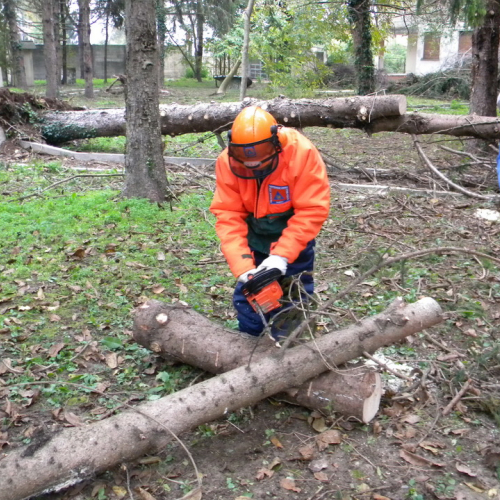 Addestramento a Perteole del 10/11/12 n. 20 / 88128