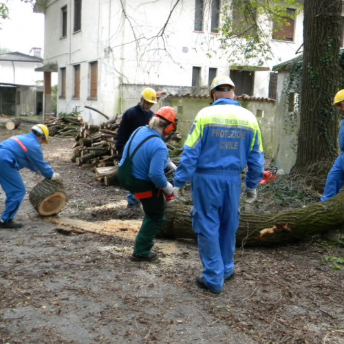 Addestramento a Perteole del 10/11/12 n. 22 / 88130