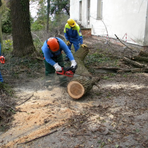 Addestramento a Perteole del 10/11/12 n. 23 / 88131