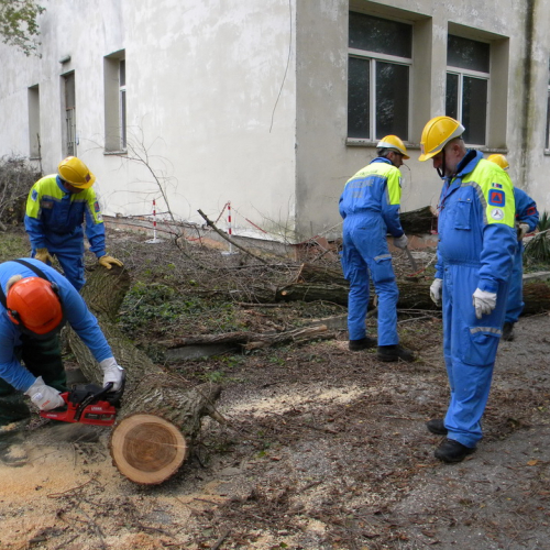 Addestramento a Perteole del 10/11/12 n. 24 / 88132