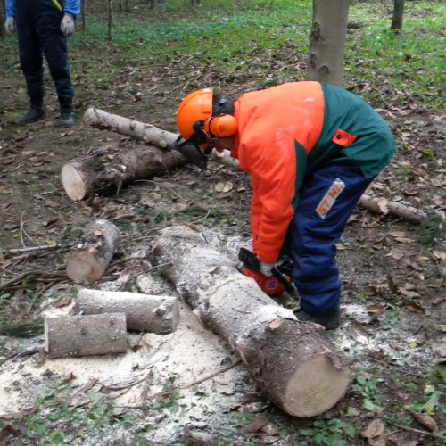 Addestramento a Perteole del 10/11/12 n. 25 / 88133