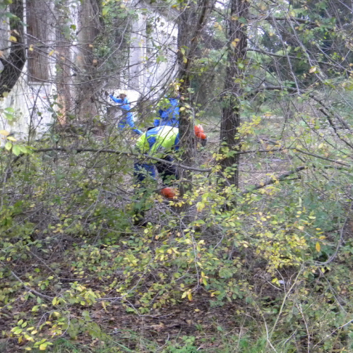 Addestramento a Perteole del 10/11/12 n. 26 / 88134