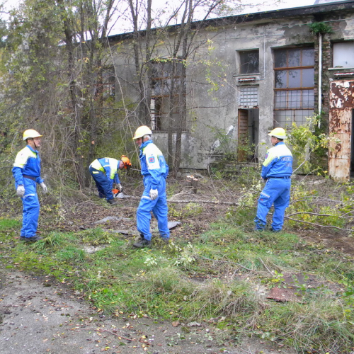 Addestramento a Perteole del 10/11/12 n. 28 / 88136