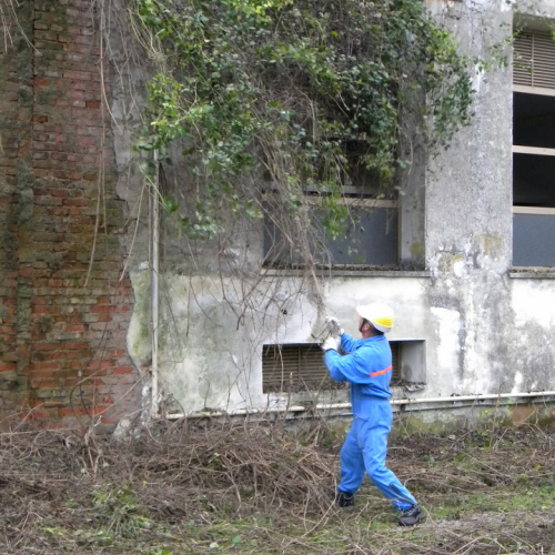 Addestramento a Perteole del 10/11/12 n. 29 / 88137