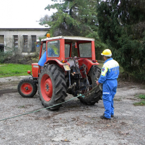 Addestramento a Perteole del 10/11/12 n. 31 / 88139