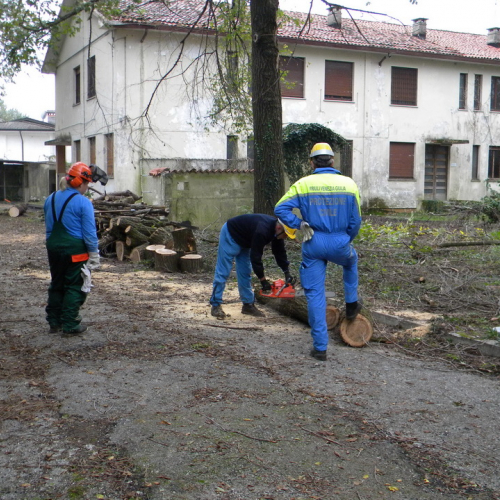 Addestramento a Perteole del 10/11/12 n. 35 / 88143