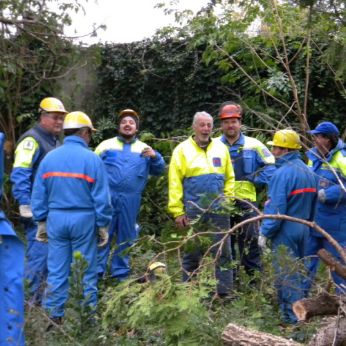 Addestramento a Perteole del 10/11/12 n. 36 / 88144