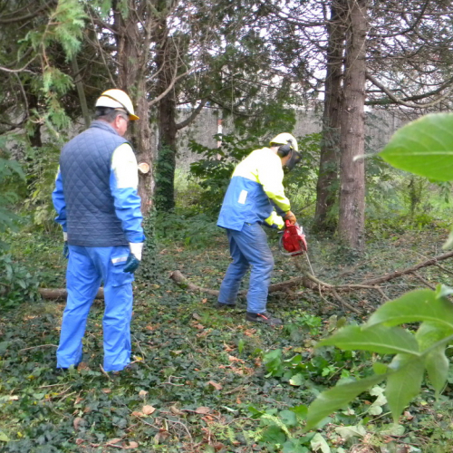 Addestramento a Perteole del 10/11/12 n. 37 / 88145