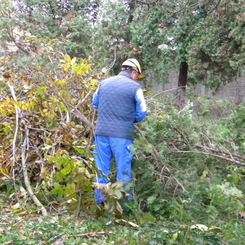 Addestramento a Perteole del 10/11/12 n. 39 / 88147