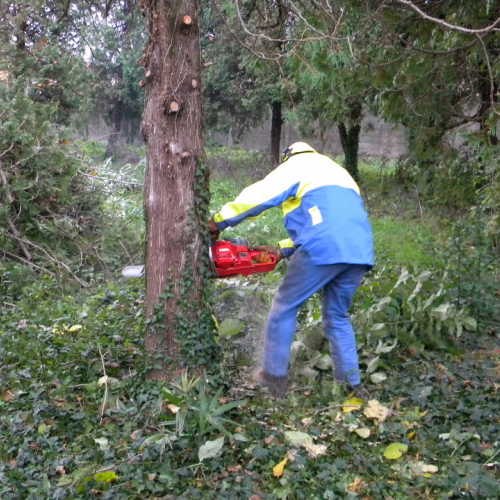 Addestramento a Perteole del 10/11/12 n. 40 / 88148