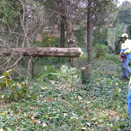 Addestramento a Perteole del 10/11/12 n. 41 / 88149