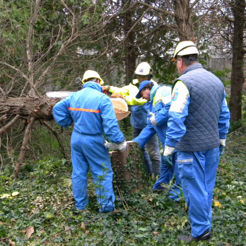 Addestramento a Perteole del 10/11/12 n. 42 / 88150