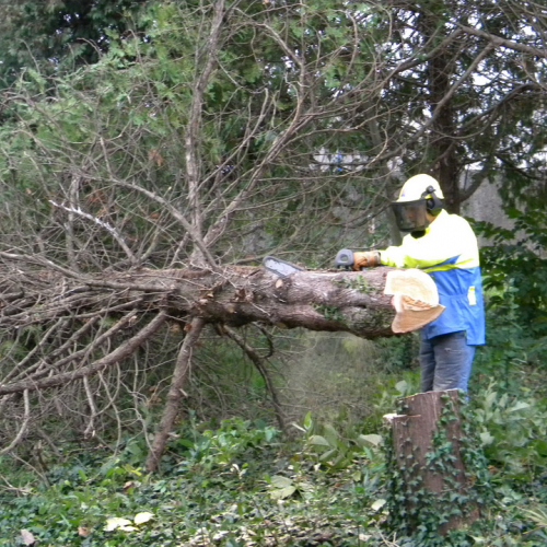 Addestramento a Perteole del 10/11/12 n. 43 / 88151