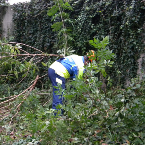 Addestramento a Perteole del 10/11/12 n. 44 / 88152