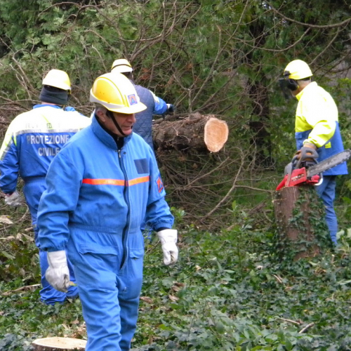 Addestramento a Perteole del 10/11/12 n. 46 / 88154