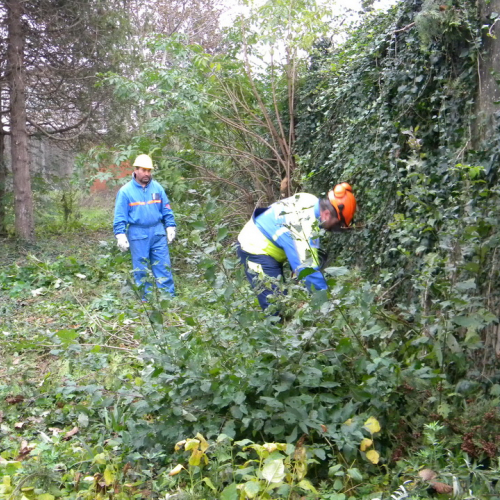 Addestramento a Perteole del 10/11/12 n. 47 / 88155